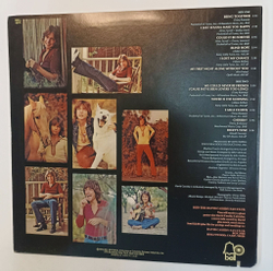 Винтажная виниловая пластинка LP David Cassidy Cherish (USA 1972)