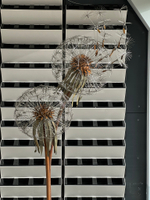 Вертикальное озеленение живыми растениями. В проекте использовалось оборудование "Hydro Falls"