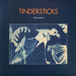 Tindersticks / Distractions (LP)