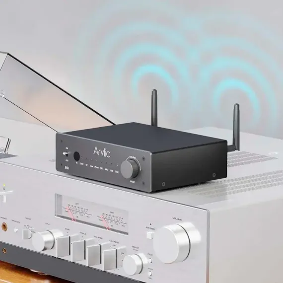 Arylic B50