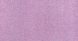 Микрошенилл Miss (Мисс) 21