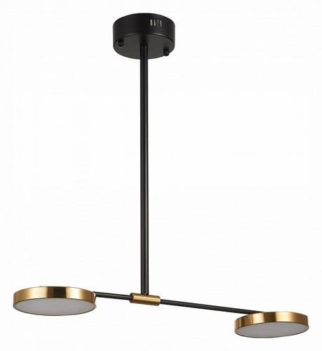 Светильник на штанге ST-Luce SL1605.403.02