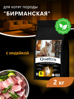 Корм сухой для котят породы Бирманская, с индейкой, 2кг, QUATTRO