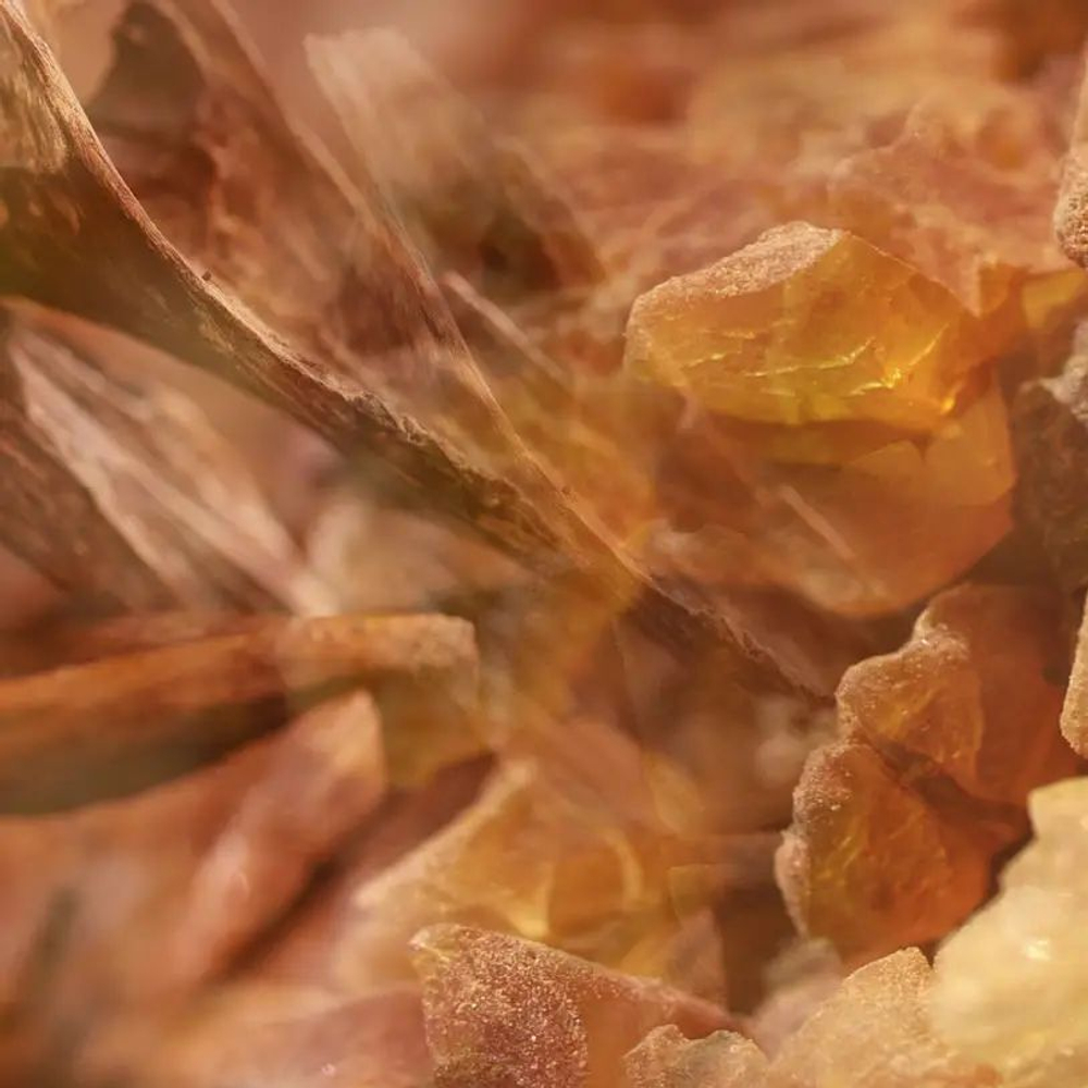 Dr. Vranjes Ambra Red Box диффузор 250 мл красная подарочная упаковка (аромат амбра)