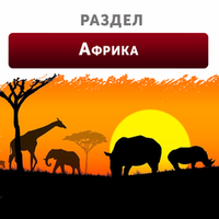 Африка