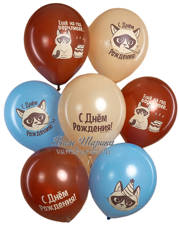 Шары "С Днём Рождения от сердитого кота"