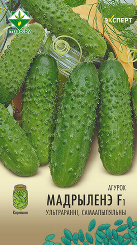 Огурец "Мадрилене F1" 5шт, Нидерланды.