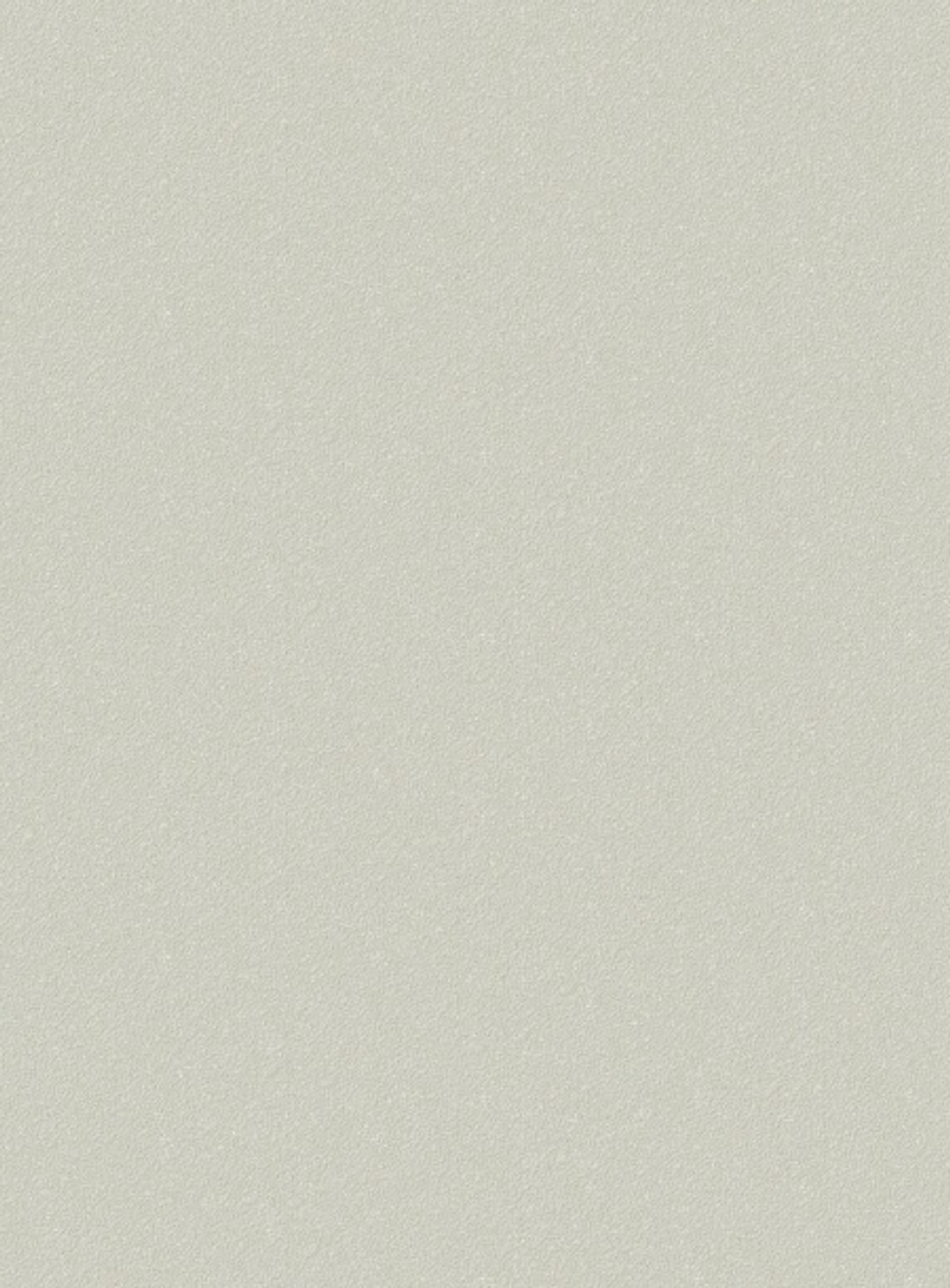 Шир-фон - 21 светло-серая