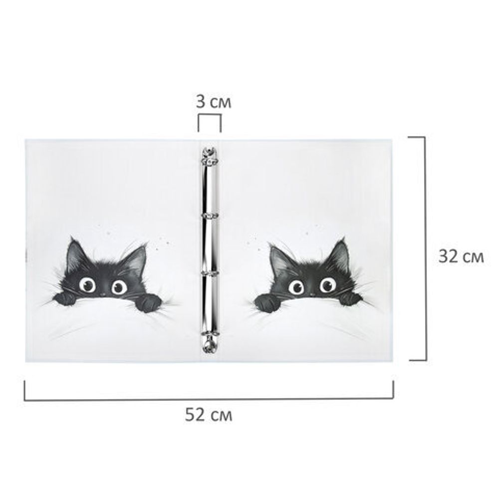 Папка-портфолио универсальная, 4 кольца, 20 файлов, 7БЦ матовая, BRAUBERG "Cat", 107557, 117557