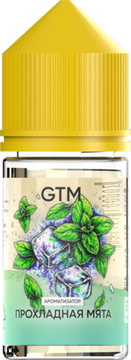 Ароматизатор GTM Прохладная мята