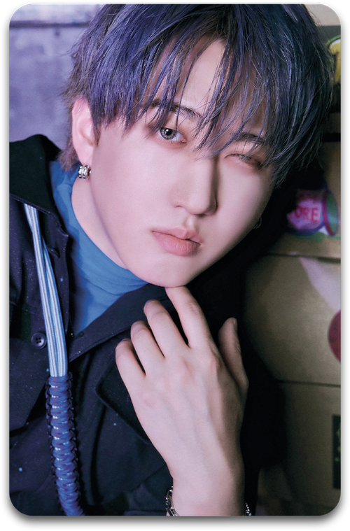 Карта / STRAY KIDS #1666