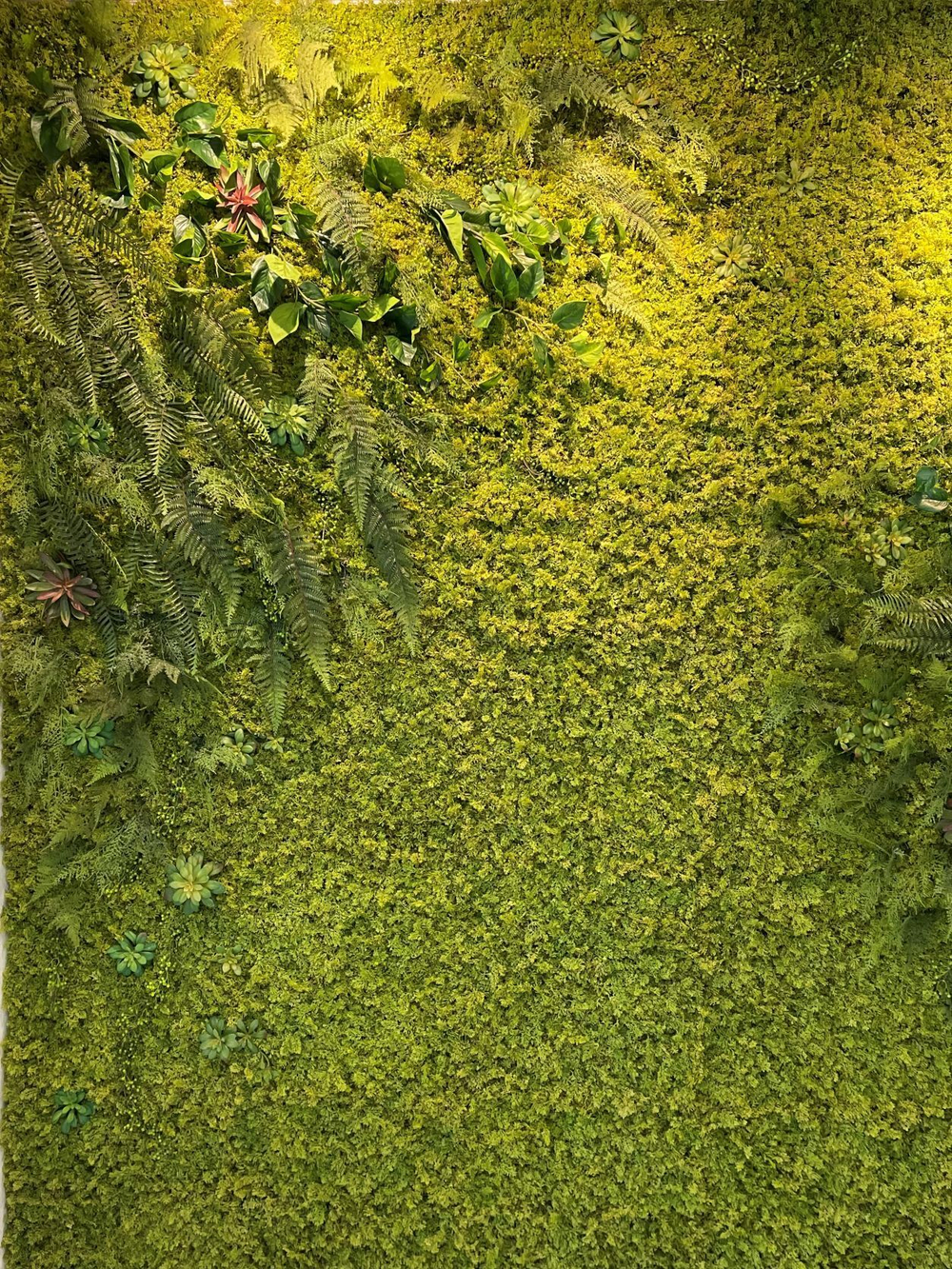 Зеленая стена из искусственных растений и мха в медицинском центре г.Краснодар