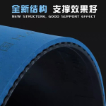 Friendship 729 BATTLE II National (Blue sponge)