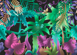 Коллекция Тропическое