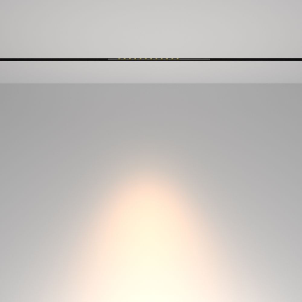 Трековый магнитный светодиодный светильник Maytoni Exility   TR232-2-10W3K-B