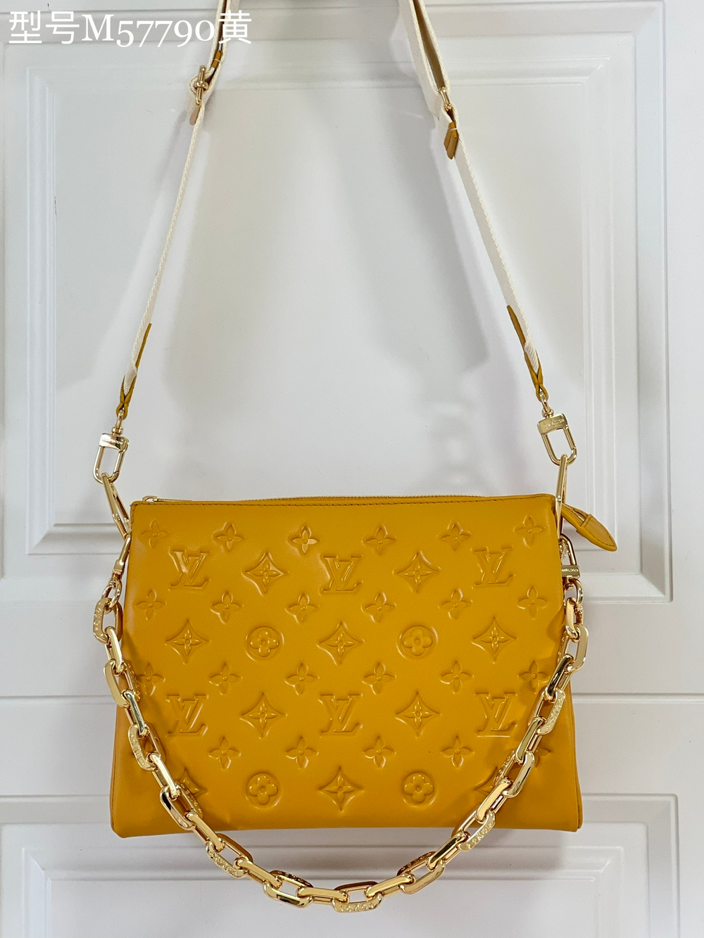 Louis Vuitton Coussin PM
