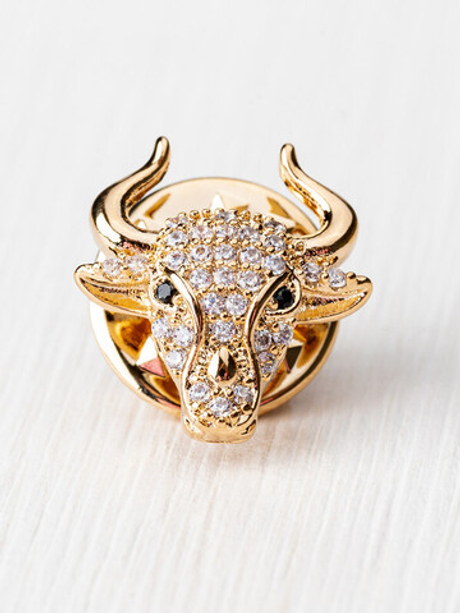 30063460 Брошь Chance