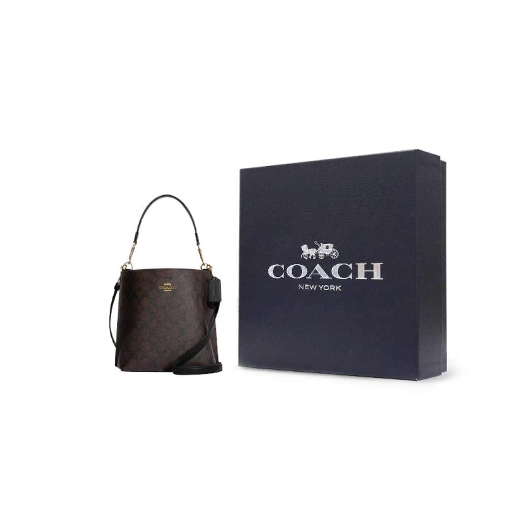 Сумка COACH Mollie 22, CA582-IMAA8