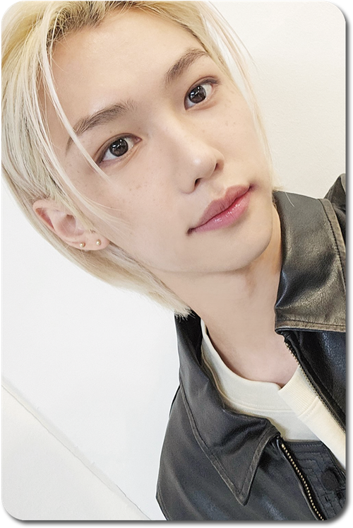 Карта / STRAY KIDS #0752