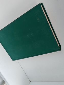 Картина: Роман