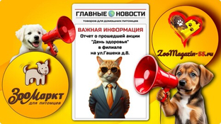 «День здоровья» в филиале на Гашека д.8.