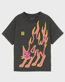 Футболка LAKAI x RIPNDIP Pilnk Flame Tee Grey / Pink