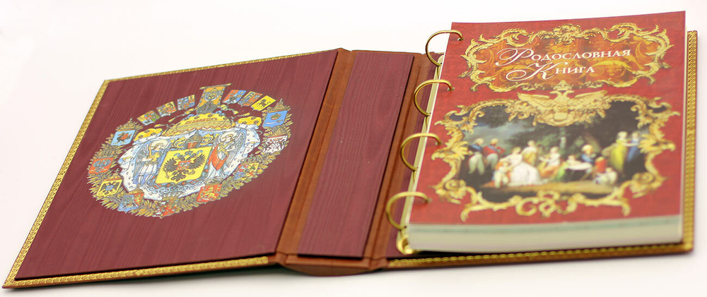 Родословная книга Ренессанс, обложка из экокожи