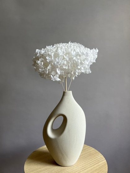 Гортензия стабилизированная выбеленная