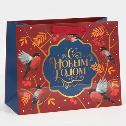 Пакет подарочный «Пора чудес», 18х23х10 см