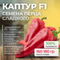 КАПТУР F1 семена перца сладкого (Seminis) купить