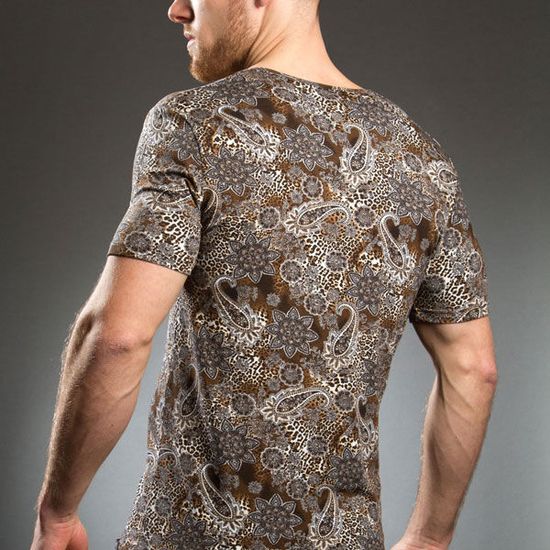 Мужская футболка коричневая с принтом Doreanse 2830