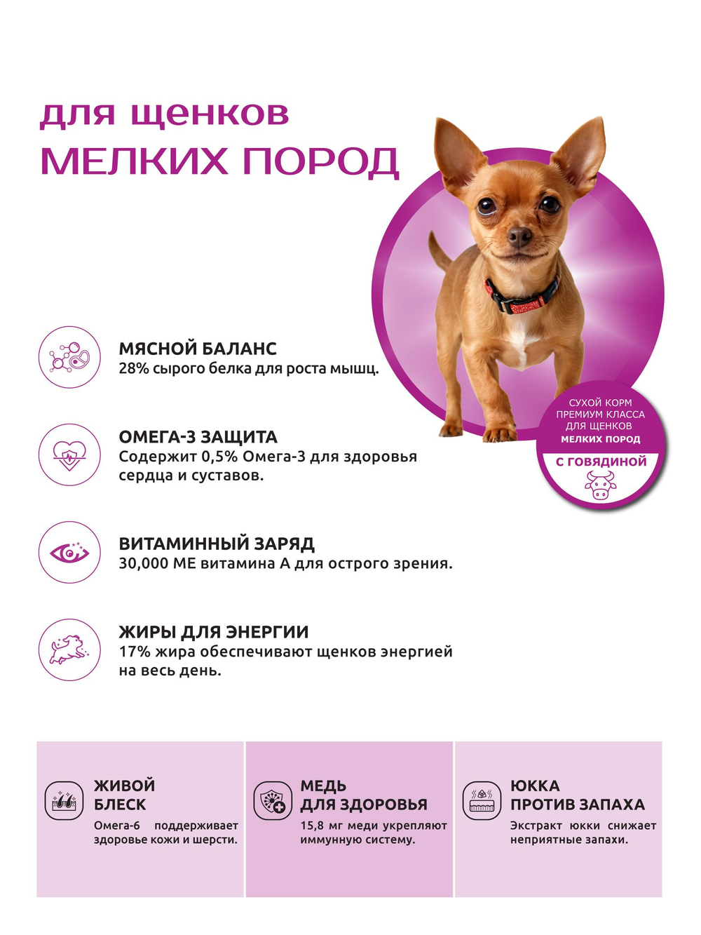 Quattro корм для щенков мелких пород, с говядиной, 6 кг, QUATTRO