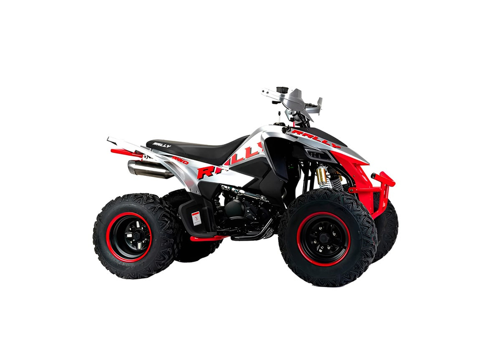 Квадроцикл MOTOLAND RALLY 250