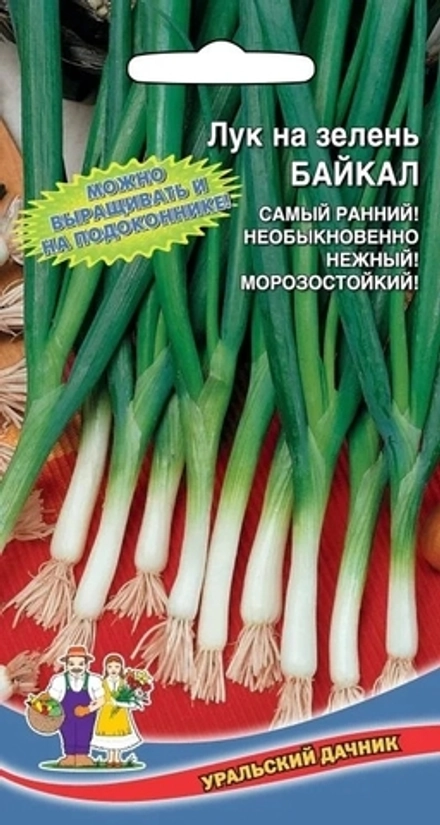 Лук на зелень Байкал