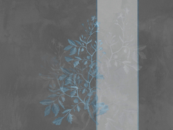 Коллекция BELLA