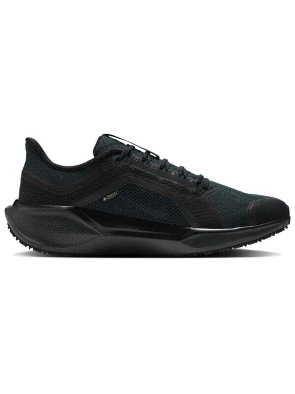 Кроссовки Nike Pegasus 41 Gore Tex 'Black Anthracite'