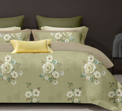 Постельное белье 2 спальное евро Asabella 1843-6/160