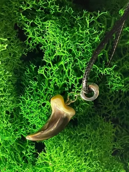 Амулет Коготь Волка