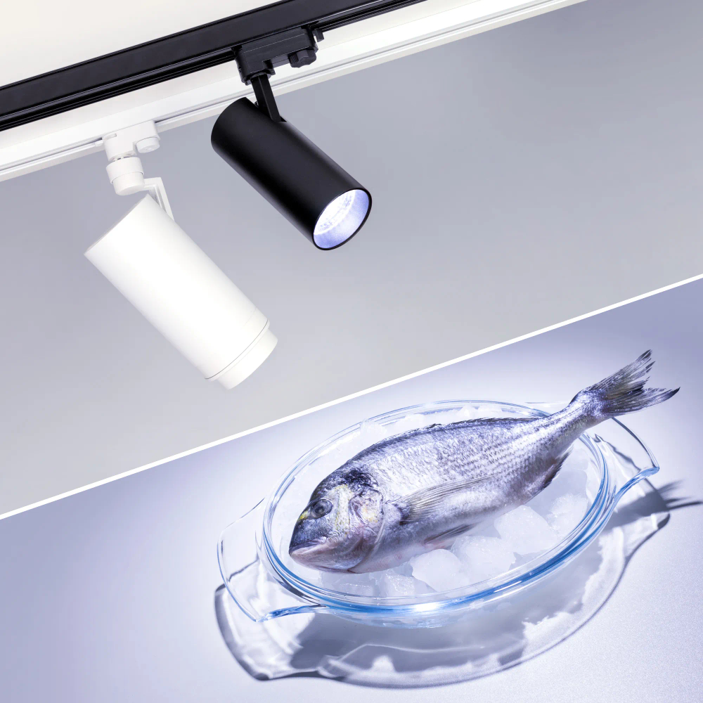 Светильник LGD-GERA-4TR-R90-30W Cool SP7500-Fish (BK, 24 deg, 230V) (Arlight, IP20 Металл, 3 года) 032477