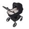 Коляска ANEX iQ 2 в 1 (iQ-10) nyx