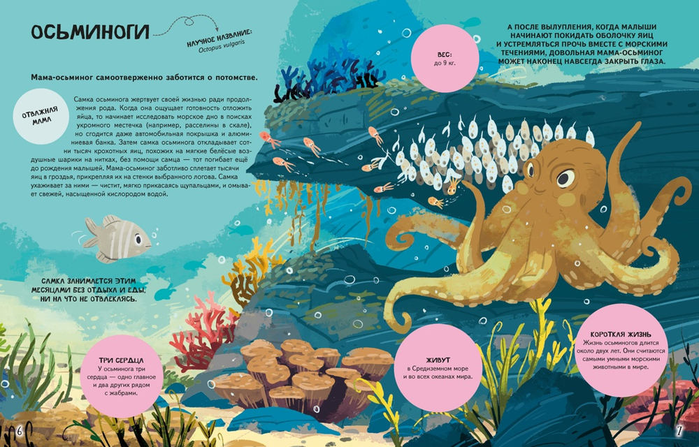 Семья в мире животных. Любовь, забота и воспитание в дикой природе