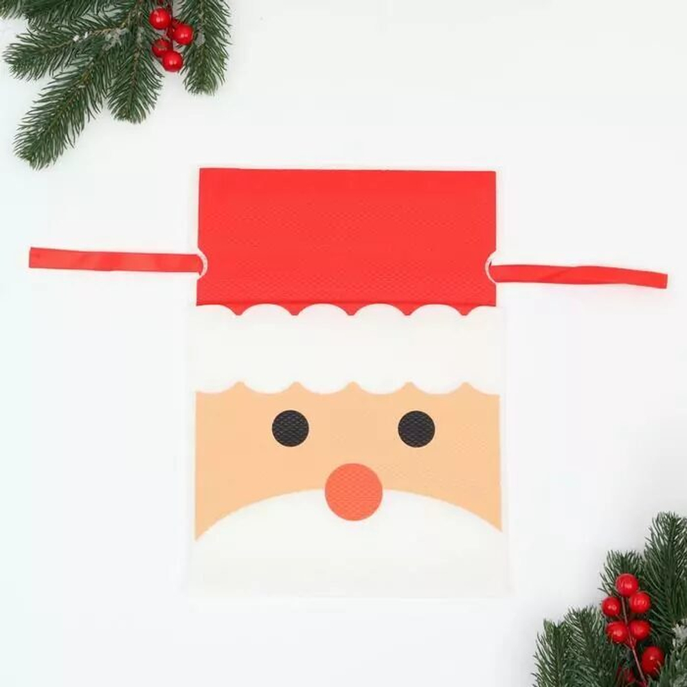 Мешок подарочный "Дед мороз", 22x31 см