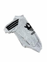 Одежда для кошек