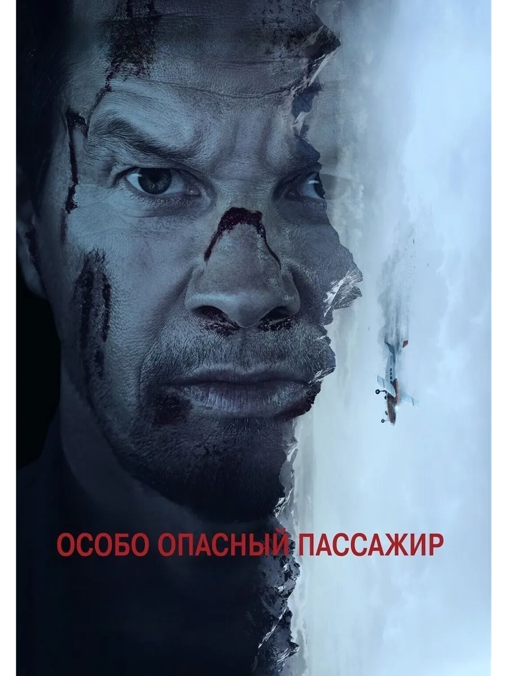 Особо опасный пассажир (2024) (DVD-R)