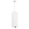 Комплект с подвесным светильником Lightstar Rullo (216596+590286) RP6596