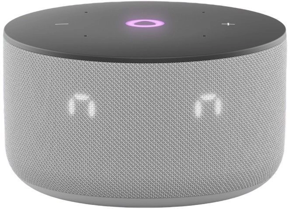 Умная колонка Yandex Станция Мини 3 Алиса серый 12W 1.0 BT/Wi-Fi (YNDX-00027GRY)