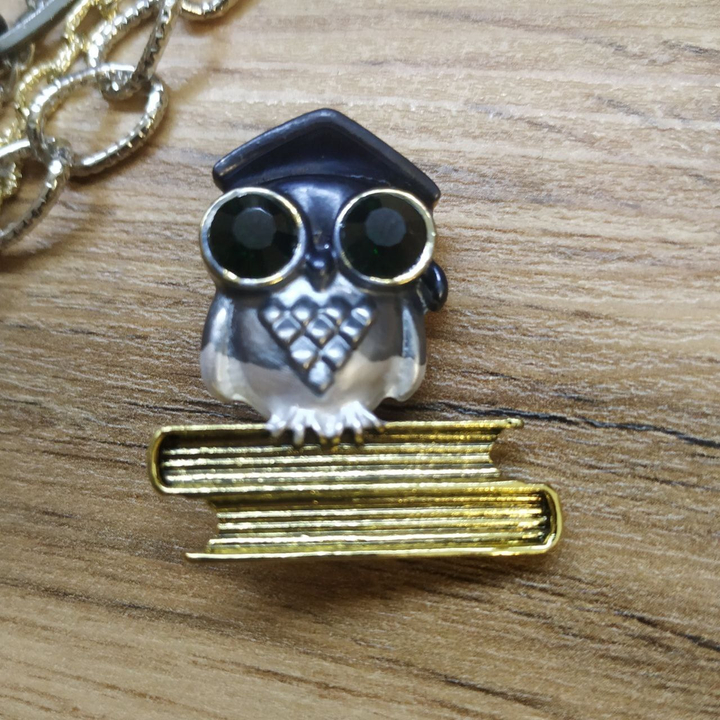 Брошь Ученая сова на книжках цвет серый эмаль цветная металл золотистый черненый