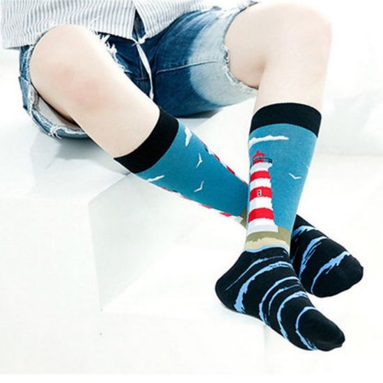 Носки "Санта-Круз. Маяк", р-р 41-45