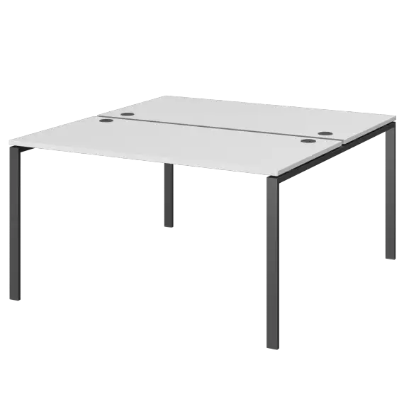 Бенч двойной на 2 рабочих места АМБ-003  1400x1496x760 Арго-М