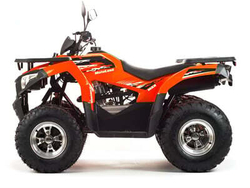 Квадроцикл MOTOLAND 200 MAX